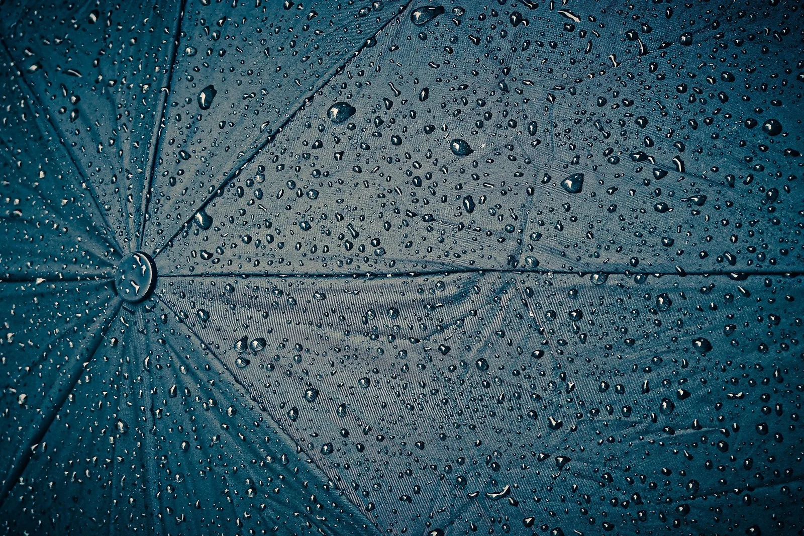 活動備案 雨天備案